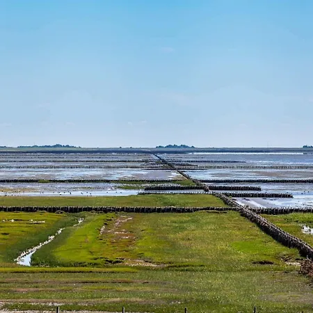 Ferienhaus Reetsommer *