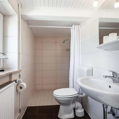 Reetsommer Emmelsbüll-Horsbüll