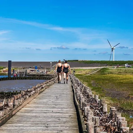 Reetsommer Ferienhaus *