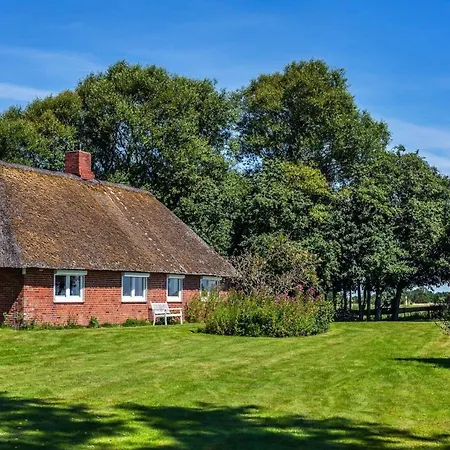 Reetsommer * Emmelsbüll-Horsbüll