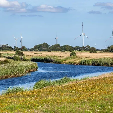 Ferienhaus Reetsommer Emmelsbüll-Horsbüll