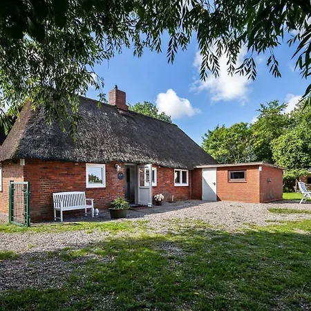 Reetsommer * Emmelsbüll-Horsbüll